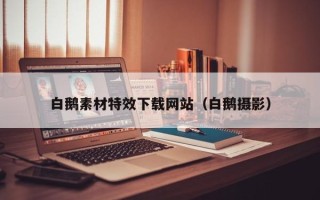句容白鹅素材特效下载网站（白鹅摄影）